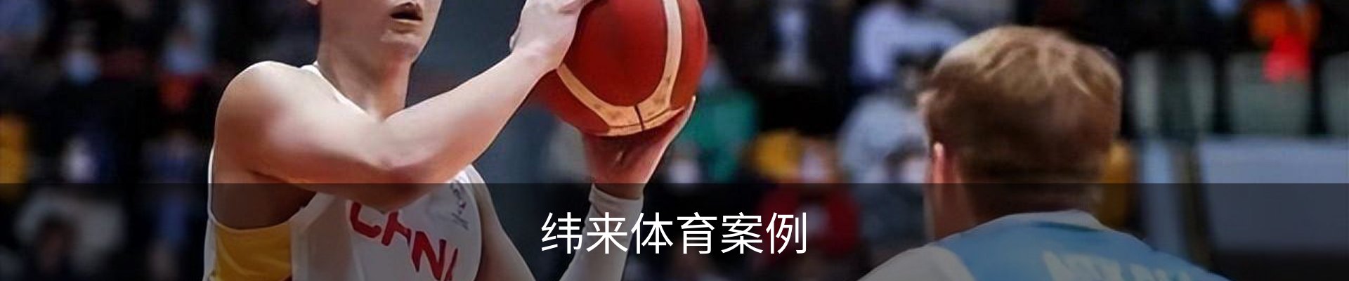 纬来体育案例